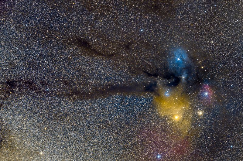 Rho Ophiuchi Molecular Clouds